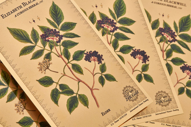Botanical Gold Aurum® Series Sets