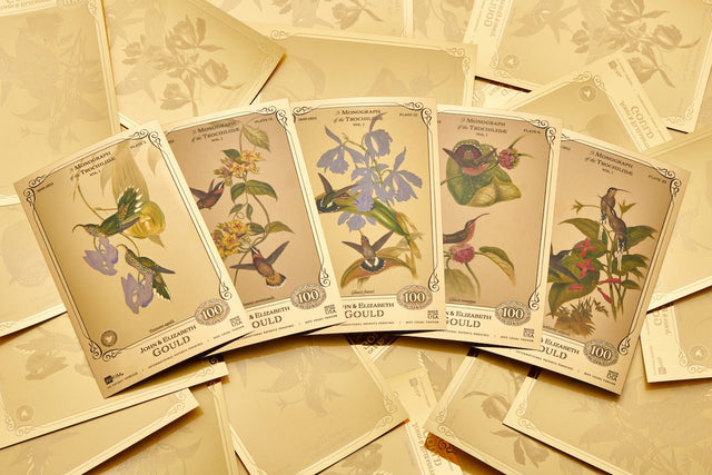 New Release: The John & Elizabeth Gould Collection