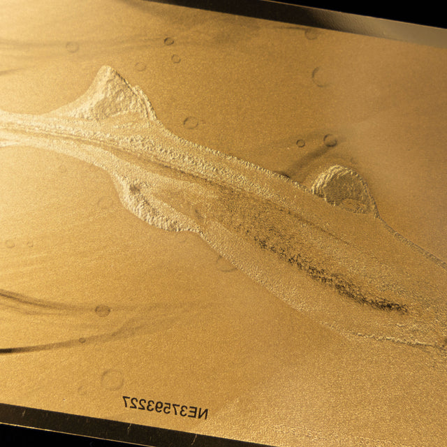 Bioluminescence Series Lantern Shark Aurum® 100mg 24k Gold Bill
