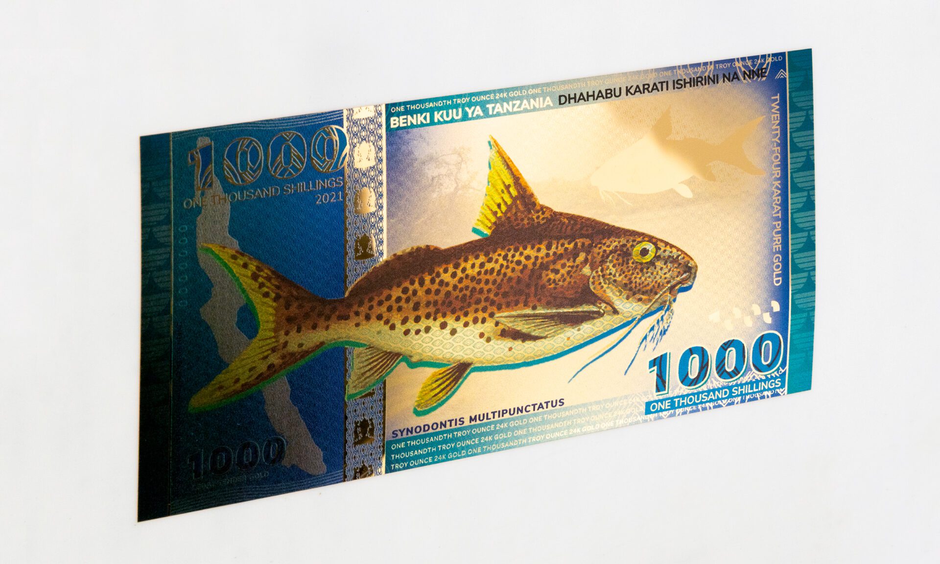 You are currently viewing New Release: Tanzanian 1000 Shilling Lake Tanganyika Catfish Legal Tender Gold Bill