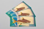 Three Tanzanian 1000 Shilling Aurum® gold bills setup in a product fan.