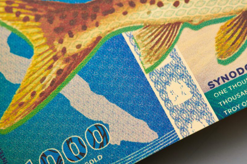 Security design details within the Tanzanian 1000 Shilling Lake Tanganyika Catfish Aurum® gold bill.