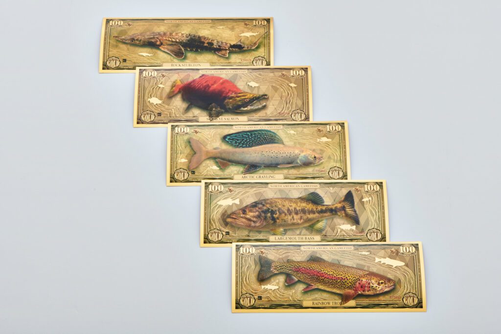 The five bills included in the North American Game Fish Set. Top to Bottom: Rock Sturgeon, Sockeye Salmon, Arctic Grayling, Largemouth Bass, and Rainbow Trout
