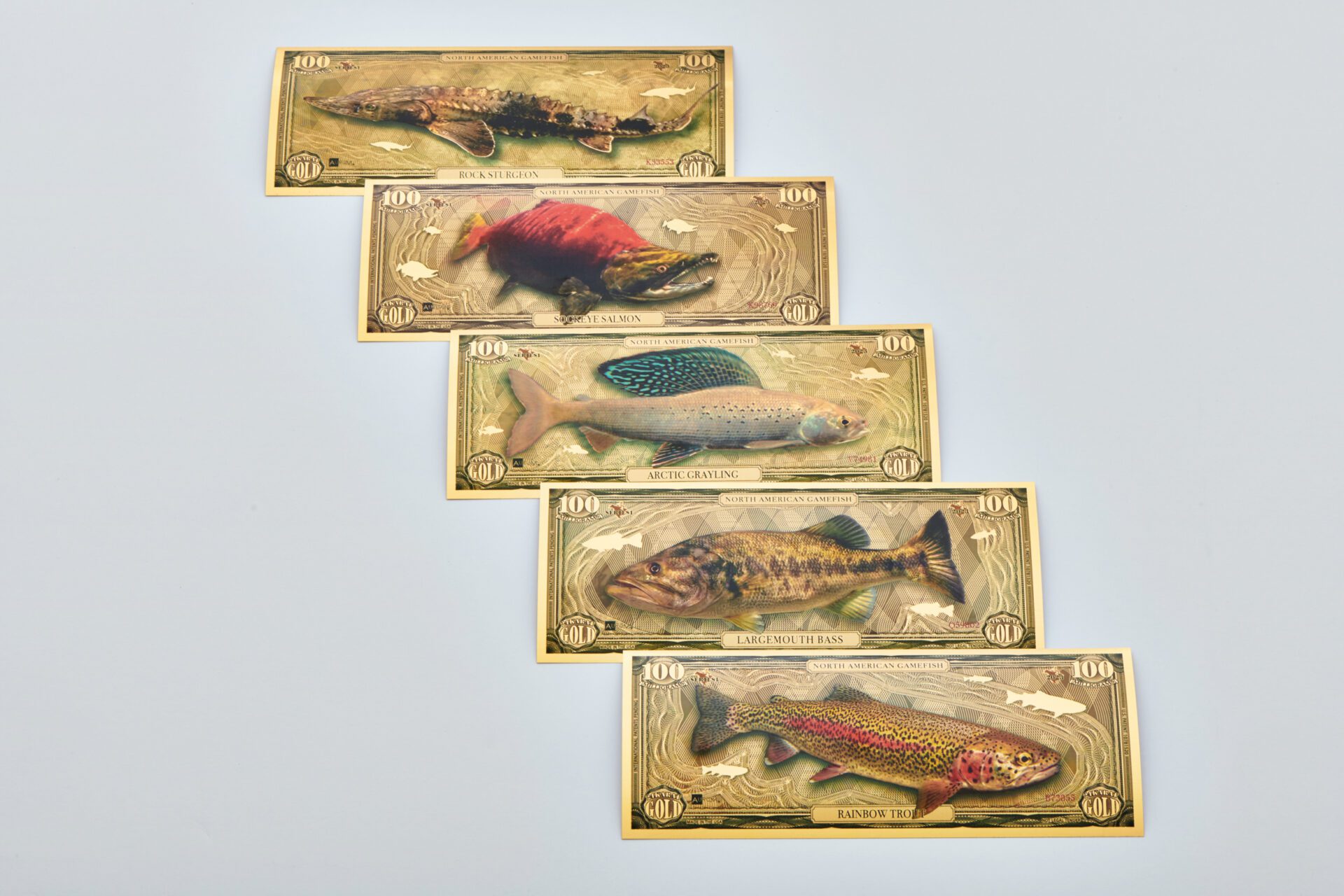 The five bills included in the North American Game Fish Set. Top to Bottom: Rock Sturgeon, Sockeye Salmon, Arctic Grayling, Largemouth Bass, and Rainbow Trout