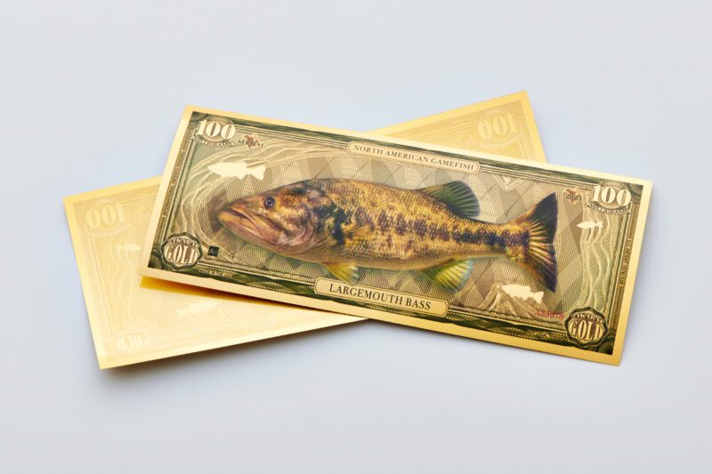 Front and back of the North American Game Fish Largemouth Bass Aurum Bill