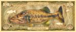 The front of a North American Gamefish Largemouth Bass Gold Bill.