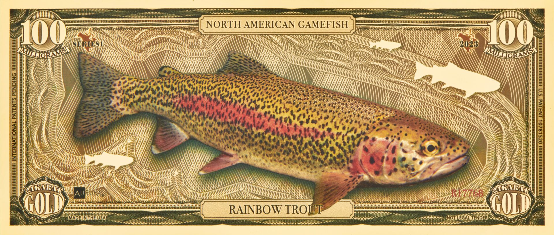 The front of a North American Gamefish Rainbow Trout Gold Bill.