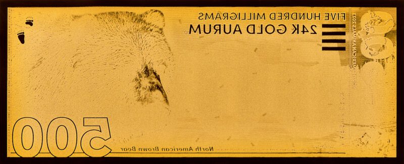 2023 North American Animal Series Brown Bear Aurum bill back.