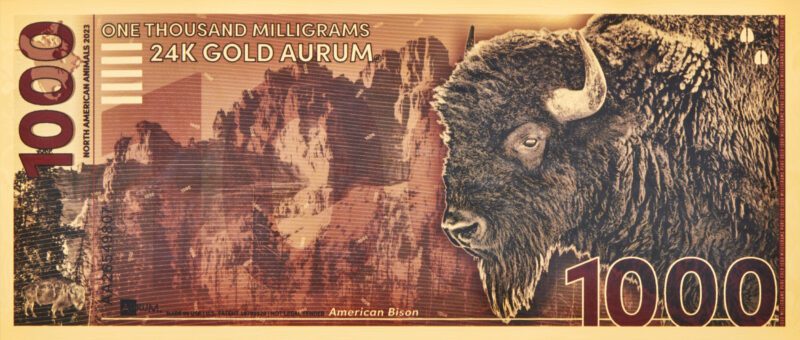 2023 North American Bison aurum bill