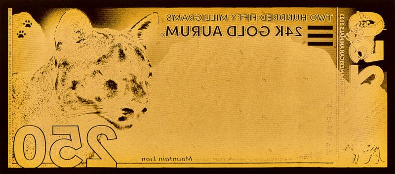The back of the 2023 North American Animal Series Mountain Lion Aurum bill.