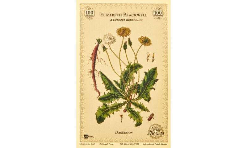 The front of the Blackwell Dandelion Fine Art Print.